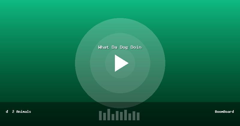 What Da Dog Doin