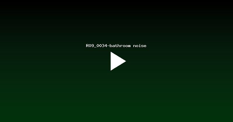 R09_0034-bathroom noise