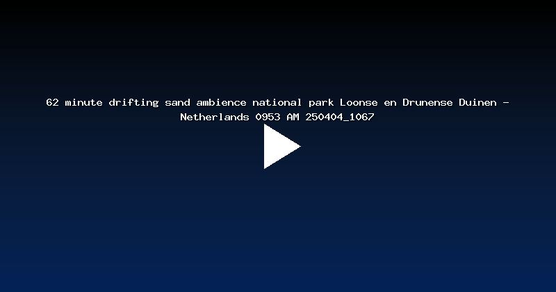 62 minute drifting sand ambience national park Loonse en Drunense Duinen - Netherlands 0953 AM 250404_1067
