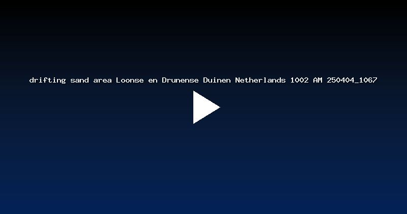 drifting sand area Loonse en Drunense Duinen Netherlands 1002 AM 250404_1067
