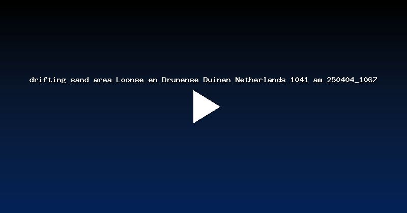 drifting sand area Loonse en Drunense Duinen Netherlands 1041 am 250404_1067