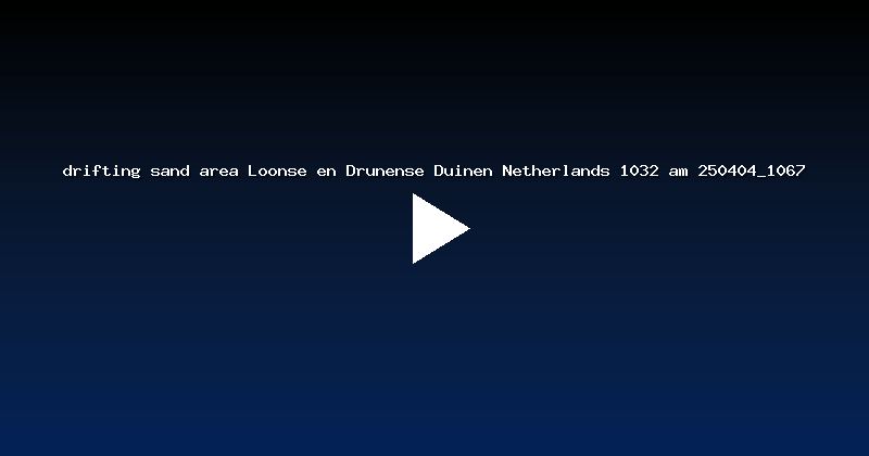 drifting sand area Loonse en Drunense Duinen Netherlands 1032 am 250404_1067