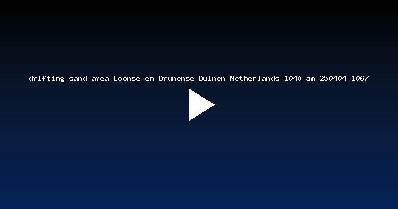 drifting sand area Loonse en Drunense Duinen Netherlands 1040 am 250404_1067
