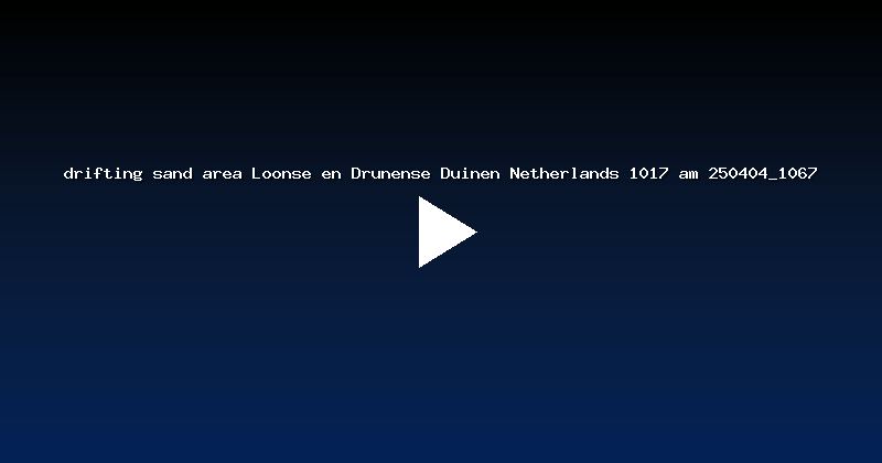 drifting sand area Loonse en Drunense Duinen Netherlands 1017 am 250404_1067