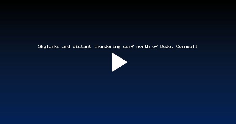 Skylarks and distant thundering surf north of Bude, Cornwall