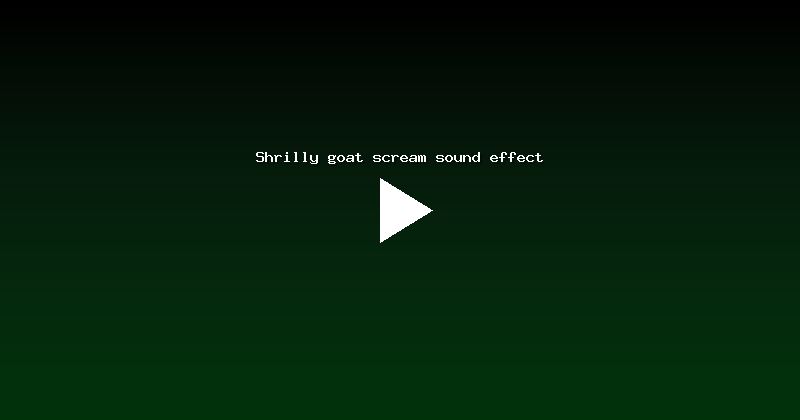 Shrilly goat scream sound effect