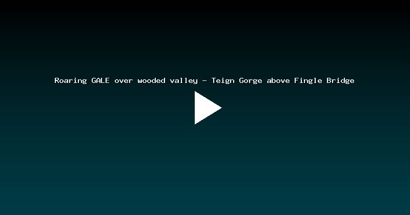 Roaring GALE over wooded valley - Teign Gorge above Fingle Bridge