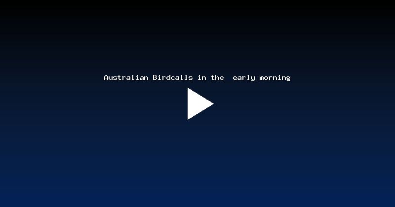 Australian Birdcalls in the  early morning