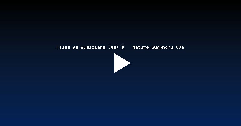 Flies as musicians (4a) — Nature-Symphony 69a