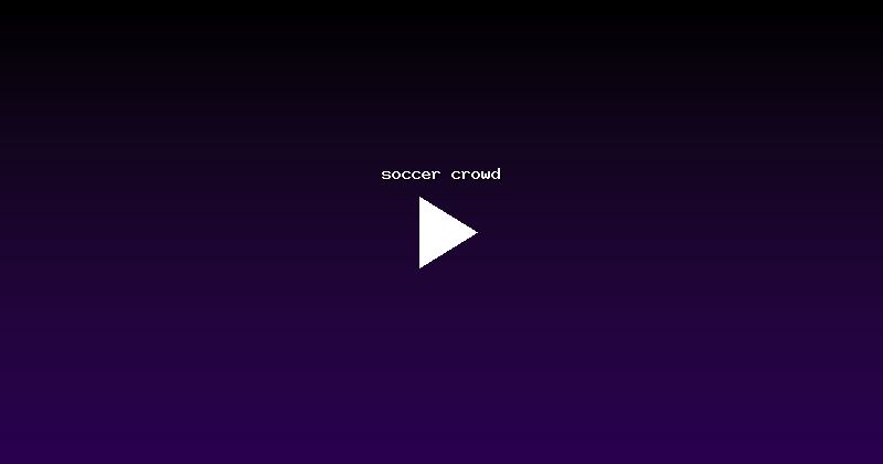 soccer crowd