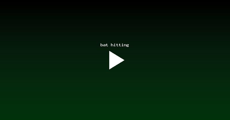 bat hitting