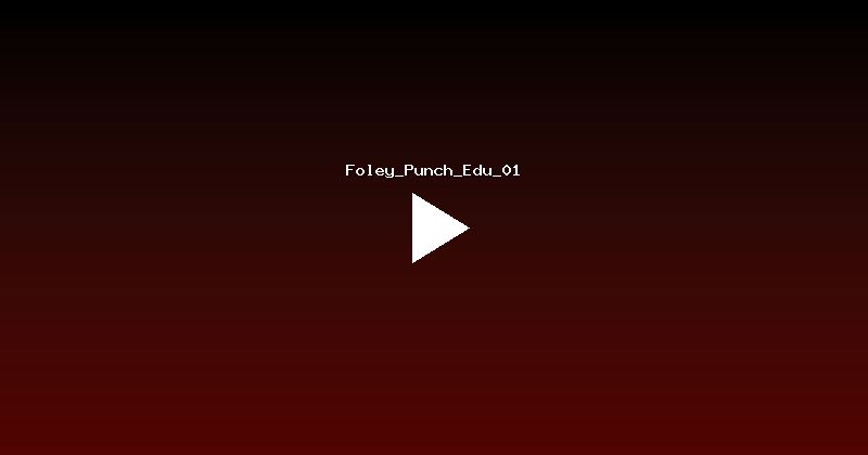 Foley_Punch_Edu_01