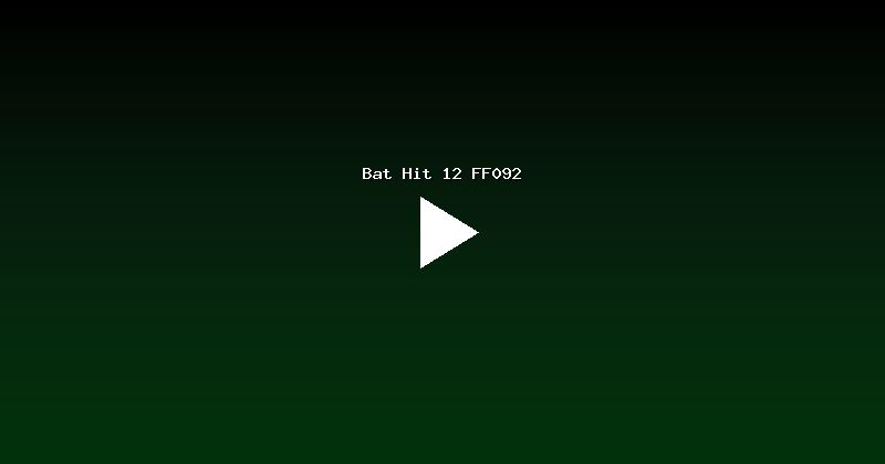 Bat Hit 12 FF092