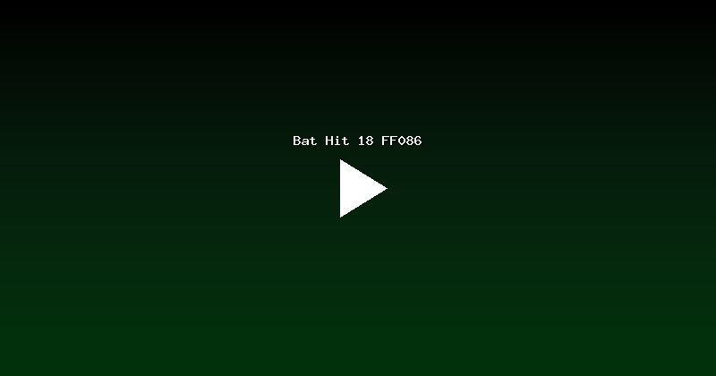 Bat Hit 18 FF086