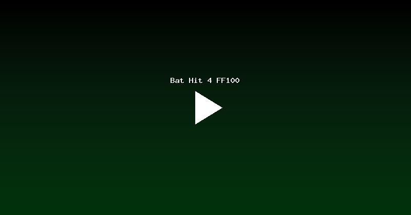 Bat Hit 4 FF100