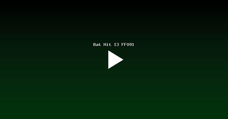 Bat Hit 13 FF091