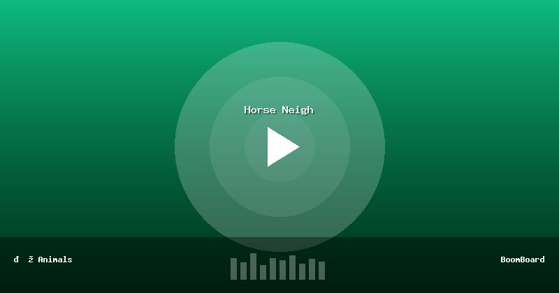 Horse Neigh