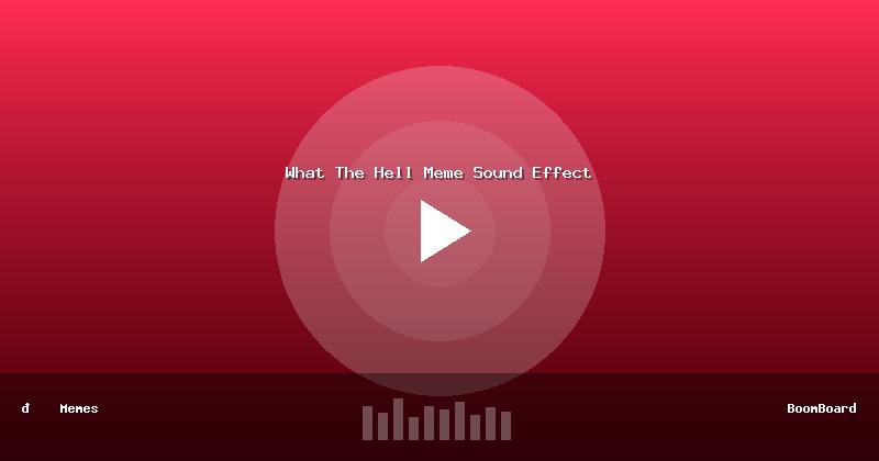What The Hell Meme Sound Effect