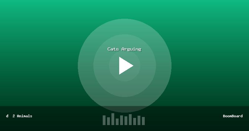 Cats Arguing