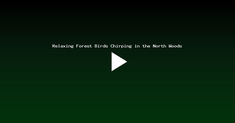 Relaxing Forest Birds Chirping in the North Woods