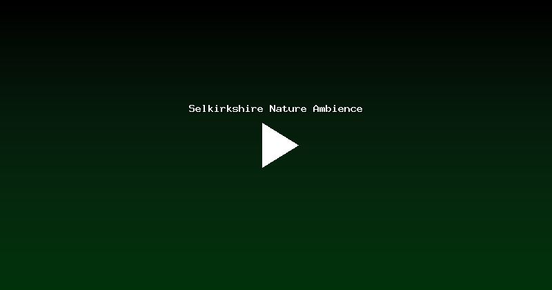 Selkirkshire Nature Ambience