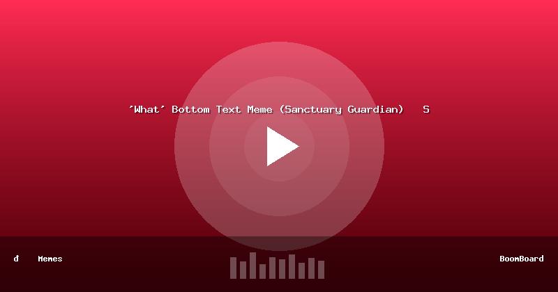 'What' Bottom Text Meme (Sanctuary Guardian)   S
