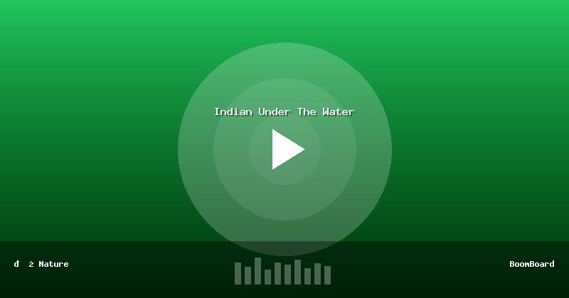 Indian Under The Water